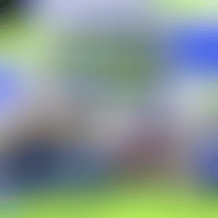 melomano-domingo-sonido-local